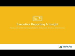 Executive Reporting and Insights